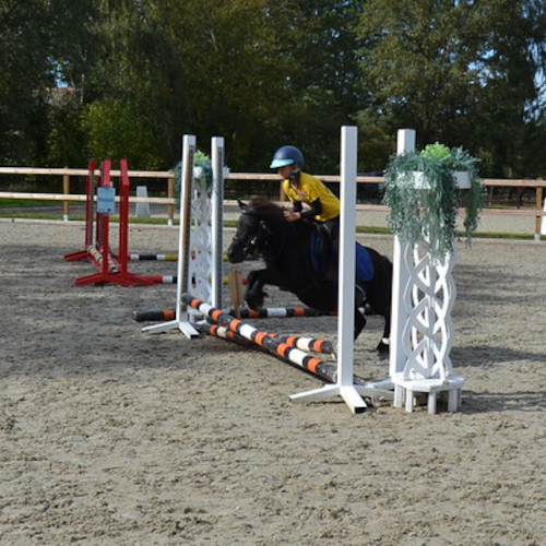 Springen